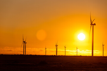 General view of wind turbines in countryside landscape during sunset