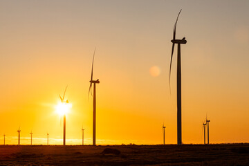 Fototapeta premium General view of wind turbines in countryside landscape during sunset