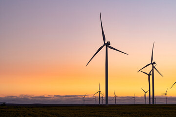 General view of wind turbines in countryside landscape during sunset