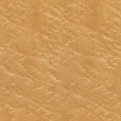 coloured background
