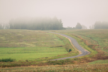 soft Belarusian landscape. Old road in a field on a foggy morning.
