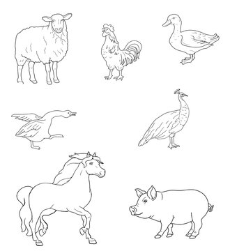 Duck, rooster, gander, sheep, peacock, horse, pig isolated on a white background. Hand drawn sketch style outline set. vector illustration.