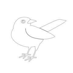 blackbird , vector illustration, lining draw ,side