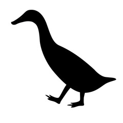 duck bird , vector illustration, black silhouette, side view