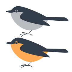 flycatcher  bird, flat style, vector illustration, side
