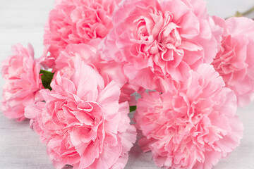 Soft pink floral background. A bouquet of carnations close-up, selective focus.