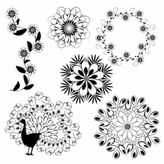 Flowers and birds black and white vector set