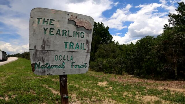 Sign to the Yearling trail at the Ocala National Forest