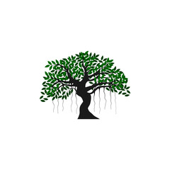 Obraz premium tree vector illustration. roots of banyan tree. mangrove plant