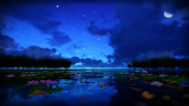 Moon Over The Lake At Night 3D Animation Footage