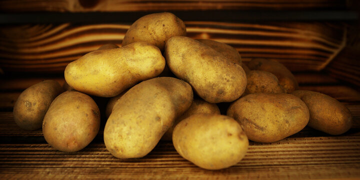 Kartoffel Sieglinde - &auml;lteste deutsche Kartoffelsorte
