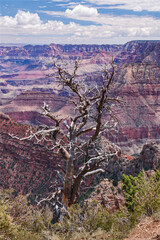 Grand Canyon 06