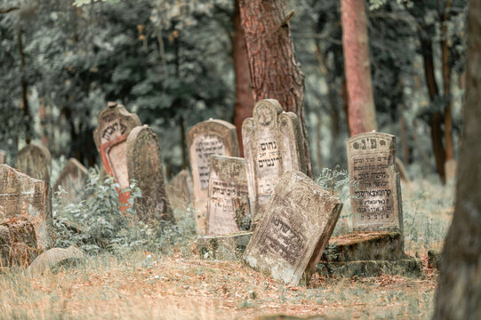 kirkut, cemetery, karczew, Jewish cemetery, Jewish cemetery in karczew, abandoned cemetery, faith, religion