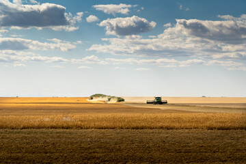Combines harvest a wheat field in Rockyview County Alberta Canada