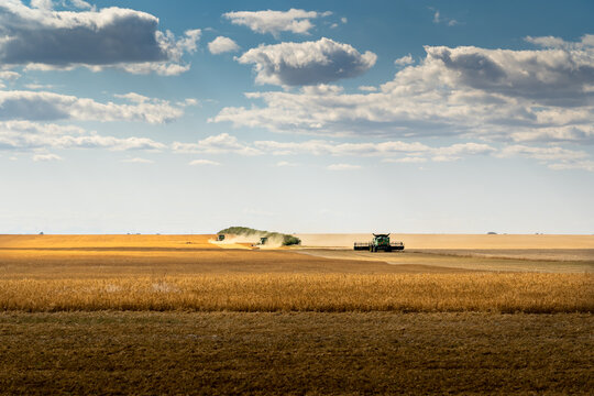 Combines Harvest A Wheat Field In Rockyview County Alberta Canada