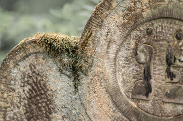 kirkut, cemetery, karczew, Jewish cemetery, Jewish cemetery in karczew, abandoned cemetery, faith, religion