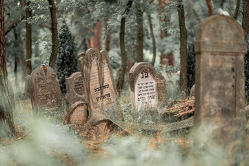 kirkut, cemetery, karczew, Jewish cemetery, Jewish cemetery in karczew, abandoned cemetery, faith,...