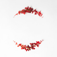 Fototapeta na wymiar Autumn frame on white background. Minimal fall concept with red leaves. Nature flat lay idea with square copy space.