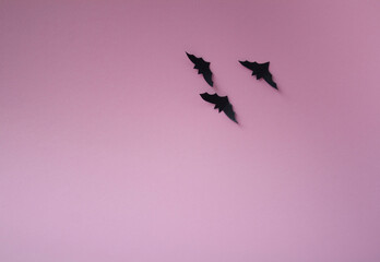 flying bats flying