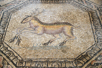 Religion and spirituality. Catholic church.