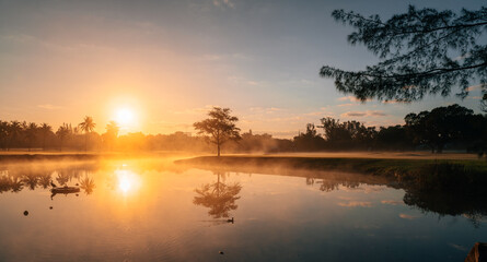 beautiful sunrise on the lake reflections tree sun sky cute