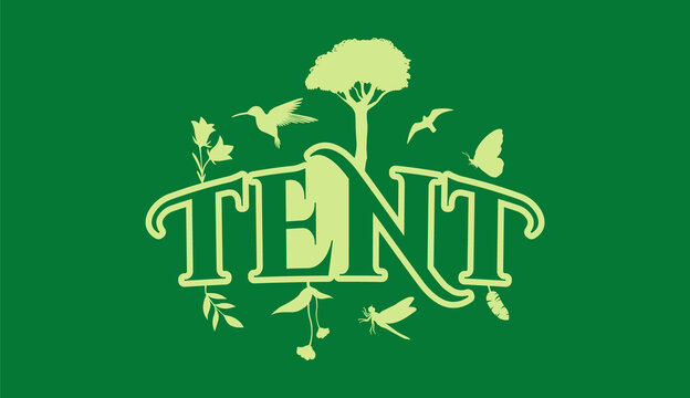 Creative Natural Logo Using Word Tent using elements Flower, Hummingbird, bird, Butterfly, Leaf and Dragonfly for adventure, tourism, entertainment, travel, water and food related business