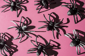 Giant scary black spiders crawling on trendy pink background. Casting dark shadows. Scary idea. Minimal abstract Halloween and horror concept.