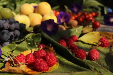 berries on a plate