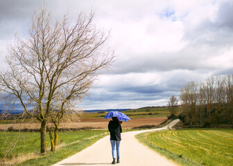 Obraz premium woman with an umbrella in the middle of the road surrounded by field