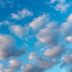Blue sky with many small cumulus clouds illuminated by the sun as a natural background