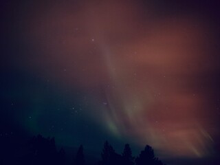 Fototapeta na wymiar Northern lights in night sky