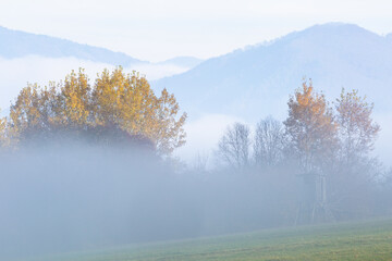 Foggy morning in Velka fatra mountains, Slovakia.