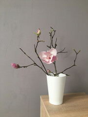 Twigs with a blooming magnolia bud in a white vase in the interior.