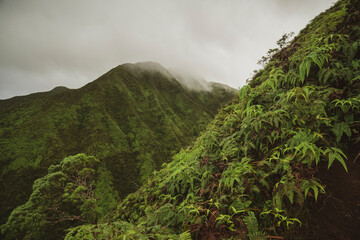 Mystical morning view of green cliffside in O'ahu - obrazy, fototapety, plakaty