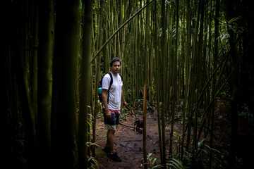 Man standing in Hawaiian bamboo forest with his dog - obrazy, fototapety, plakaty
