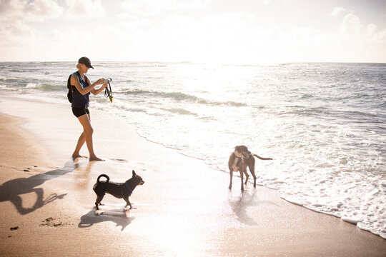 Blonde woman taking a photo on her iphone of dogs on a beach in Oahu