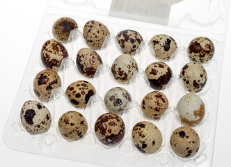 Quail eggs for cooking in transparent tray on a light background. Top view