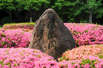 Minimalistic garden decoration at Nijo-ji Castle in Kyoto, Japan