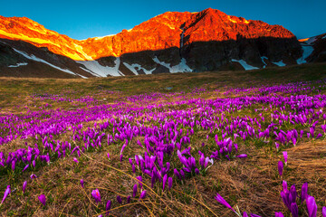 Purple Valley - Urdin circus in Rila mountain at springtime
