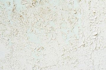 Wall with peeling old paint, remnants of plaster, light white green color. Background, texture