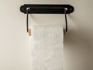 Toilet paper roll in the toilet, restroom, digestive problems, constipation, diarrhea, dyspepsia,...