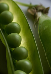 green pea macro on white fonde