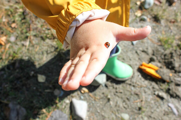 A ladybug landed on the child's hand. A child in a yellow raincoat, ru © Cavan
