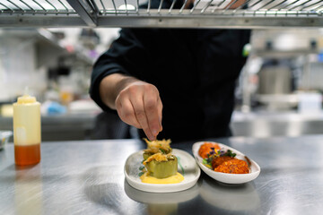 chef preparing a delicious dish