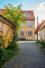 Obraz na płótnie Canvas Beautiful, small, yellow rustic houses. Traditional Scandinavian style. Fishing village Sights Travels