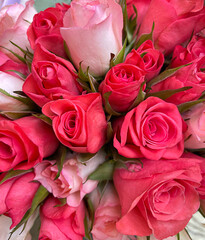 Bouquet of roses as background