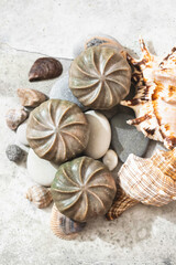 Natural green soap with algae. Spa organic soap.