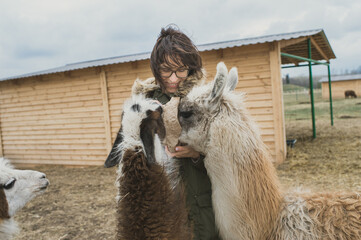 Young animal lover woman feeding 1 year old baby lamas on an eco-farm