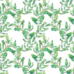 floral watercolor pattern. green twigs on a white background.