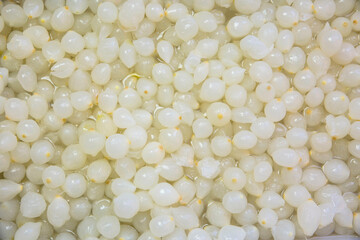 Awesome little onions in water